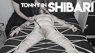 Tonny in Shibari by Brenno Furrier (720p) Gay Bondage - Gay Domination - Male Bindage - Foot Fetish - BDSM