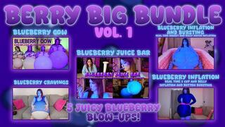 Berry Big Bundle Vol. 1