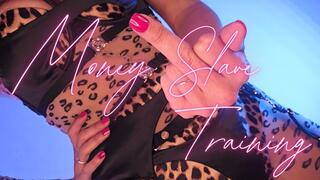 Money Slave Training