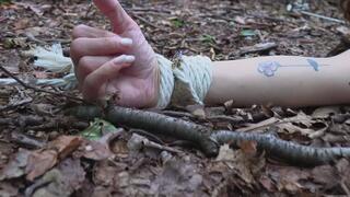 Never Give Up (2K) - Alba Zevon