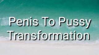 Penis To Pussy Transformation Trance