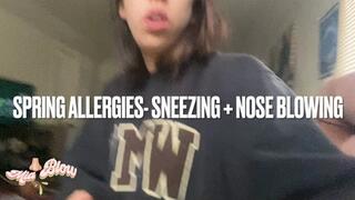 Spring Allergies Sneezing + Nose Blowing