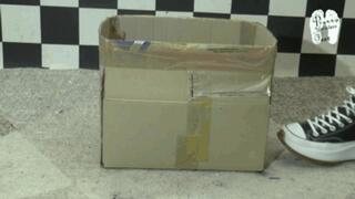 Light bulbs under Chucks Sneakers