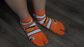 My Indian stepsister is wearing Japanese tabi socks and is showing off his patterned socks. He is showing off 2 pairs of socks, a chicken leg and a fish sock, which are tabi Japanese socks.