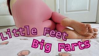 Little Feet Big Farts