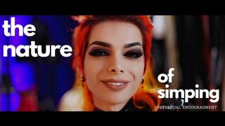 The Nature Of Simping