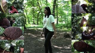 1703 Miley - A Walk into the Woods