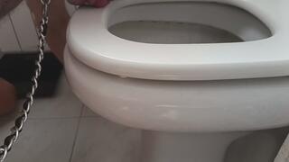 Extreme humiliation of the wenker - L'estrema umiliazione del coglione