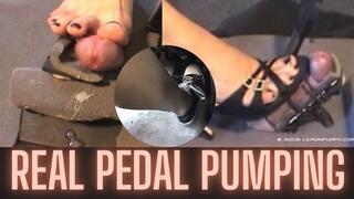 GPFJ Start For Me Good Boy!