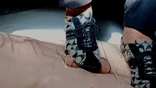 Interviewing The New Carpet