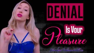 Denial Is Your Pleasure