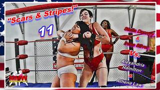 Scars & Stripes! 11 WMV