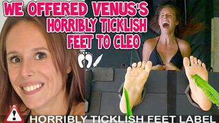 WE OFFERED VENUS'S HORRIBLY TICKLISH FEET TO CLEO - FULL HD MP4