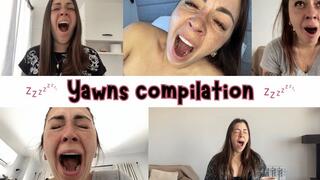 Yawns compilation, I can't stop!!