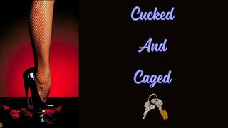 ** Cucked And Caged **