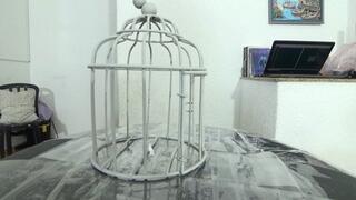 BRUNETTE PAWG GODDESS FARTING FOR YOU Part 1 By THAY FLORES CAM BY ALINE FULL HD