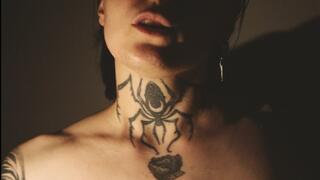 sous les stroboscopes