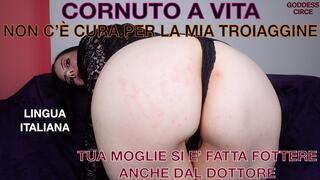 LINGUA ITALIANA - CORNUTO A VITA - NON C’E’ CURA PER LA MIA TROIAGGINE - TUA MOGLIE SI E’ FATTA FOTTERE ANCHE DAL DOTTORE