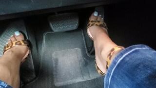 Hard Sexy Driving in Lexus RX 350