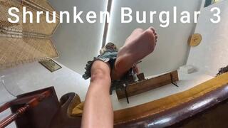 Shrunken Burglar 3 - Squishing for Pleasure - POV