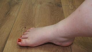 BBW feet RipOff #4