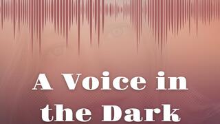 A Voice in the Dark