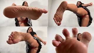 Put In Your Place 1