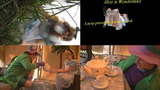 Alice in Wonderland: A sexy parody from a sexy book