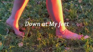 Down at My feet