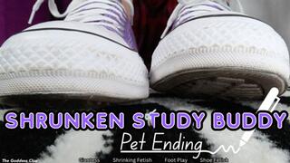 Shrunken Study Buddy PET Ending - HD - The Goddess Clue, Magic Pen Minimizes Your Size, Shrunken By Your Classmate And Made Into A Toy, Teased About Being Small, Converse Fetish, Foot Fetish, Shoe Play, Kept As A Foot Slave Forever