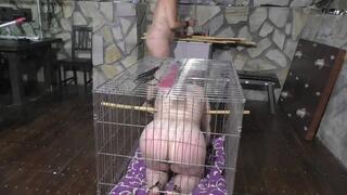 2 Slaves 24h Challenge - Titslave Liz & Slave ThannaA - Chapter 8 - Cage & Training Time - Part 1 wmv SD