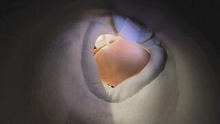 VR360 MOMO dwarfs POV humiliation in their shoes