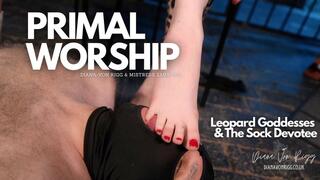 Primal Worship: Leopard Goddesses & The Sock Devotee