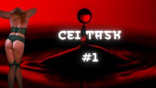 Audio Only - CEI Task #1