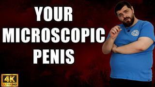 KingMarti: Your Microscopic Penis - 4k UHD 2160p