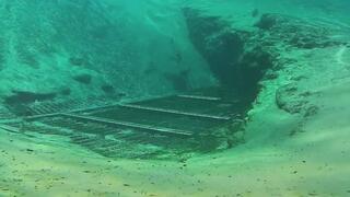 Breathholding, Diving Posing and swimming over a Spring Cave in Snorkeling Mask with fish everywhere