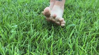 Taking a walk in the yard