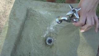 Sunny Day at the Park