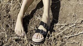 I lost my shoe while walking-9 MOV