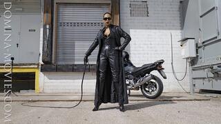 SMOKING BULLWHIP - 02