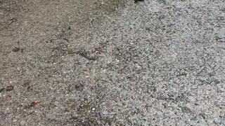 With Hunters in a Puddle, my foot bent over