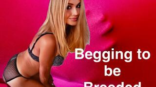 Begging To Be Breeded