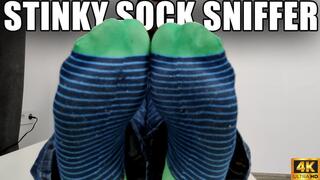 KingMarti: Stinky Sock Sniffer - 4k UHD 2160p
