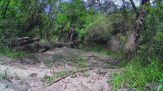 Summer finds real QUICKSAND and intentionally gets stuck and sinks