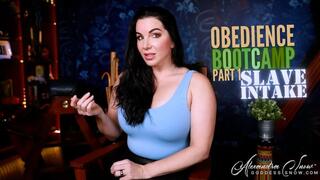 Obedience Bootcamp Part 1: Slave Intake