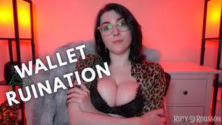 Wallet Ruination JOI - Snap Drain Part 1