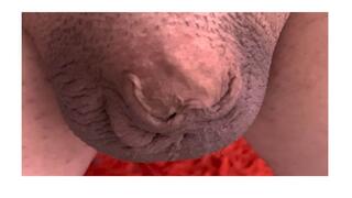 gaybdl gooning smallpenisdiaperfag audioonly