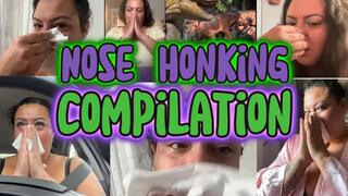 Forgotten & Unreleased Clips | Public & Private Moments with Your Pretty Snotty Goddess Malory