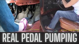 Amazing Country Gal Experienced Pumper 77' Chevy Pickup