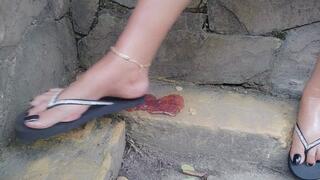 I use my feet and toes to crush and trample (cC)